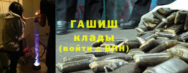 шишки Бородино