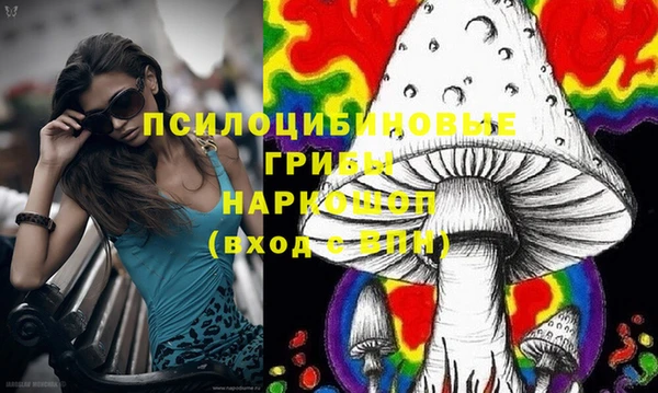тгк Пенза