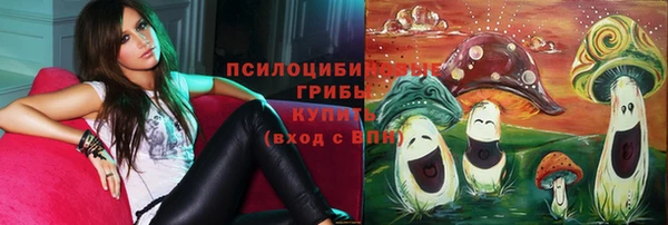 прущие грибы Шадринск