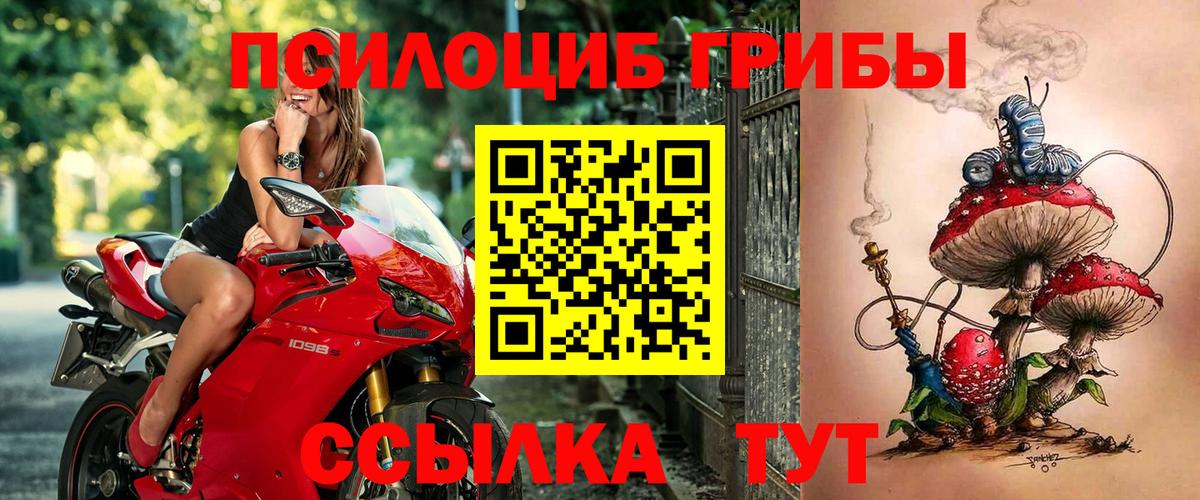 Галлюциногенные грибы Psilocybe  Вход с VPN  Волоколамск 